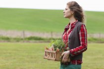 Mujer sosteniendo cesta de verduras en la granja - foto de stock