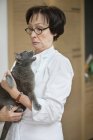 Chat gris grognant sur la femme âgée — Photo de stock