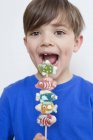 Retrato de bonito menino comendo doces no pau — Fotografia de Stock