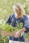 Jovem mulher transportando caixa de plantas no jardim — Fotografia de Stock