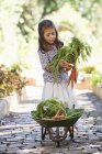 Cute little girl putting carrots in wheelbarrow on path in countryside — Stock Photo