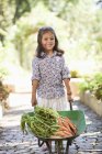 Linda niña de pie con carretilla con zanahorias en el camino en el campo - foto de stock