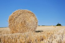 France, Normandy, Montmartin-sur-Mer, Haystacks mechanically rolled at the time of harvest — Stock Photo