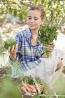 Дівчина вибирає овочі з ящика в саду — стокове фото