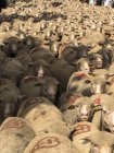 Trashumancia de ovejas en el sudeste de Francia, St Remy de Provence - foto de stock
