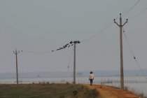 India, Orissa, Lago Chilika, Sataparha, linea elettrica sulla diga — Foto stock