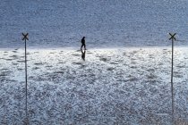Uomo che cammina sulla spiaggia Germania, Dageb, Schleswig-Holstein. — Foto stock