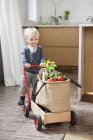 Menino empurrando carrinho com saco vegetal no apartamento — Fotografia de Stock