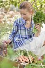 Mädchen wählt Gemüse aus Kiste im Garten — Stockfoto