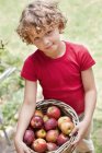 Portrait de petit garçon tenant panier de pommes fraîches cueillies à l'extérieur — Photo de stock