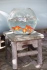 Close-up of goldfishes in fishbowl on chair — Stock Photo