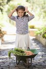 Cute little girl standing near wheelbarrow with carrots on path in countryside — Stock Photo
