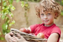 Портрет маленького хлопчика, що тримає кошик зі свіжих підібраних яблук на відкритому повітрі — стокове фото