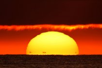 França, Normandia. Montmartin-sur-Mer, Sunset. Os pontos pretos ao pé do sol são as costas de Jersey — Fotografia de Stock