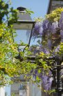 Close-up of street lamp and plants at France — Stock Photo