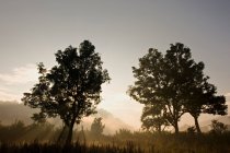 India, Chhattisgarh, Landscape near Bhoramdeo — Stock Photo