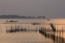 India, Orissa, Lago Chilika, Sataparha, allevamento di gamberetti — Foto stock
