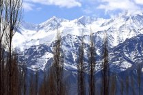 Індія, Ладакх, індійський державний Джамму і Кашмір, гірські хребти Гімалаїв, що оточують місто Лех — стокове фото