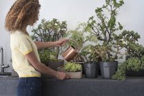 Femme arrosage des plantes en pot à la maison — Photo de stock