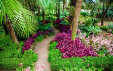 Insel Madeira, tropische Gärten des Monte Palace — Stockfoto