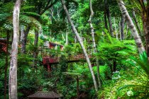 Insel Madeira, tropische Gärten des Monte Palace — Stockfoto