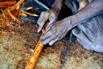 Sri Lanka. Mirissa, a plantar canela. A canela é o latido interno da canela. Preparação artesanal de pau de canela. — Fotografia de Stock