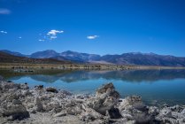 Calmo lago Mono sotto il cielo limpido, California, Stati Uniti d'America — Foto stock