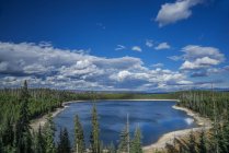 View of Shoshone Lake and woods, Wyoming, United States of America, North America — Stock Photo