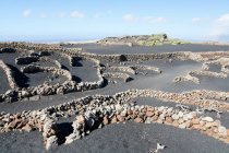 Spain. Canary Islands. Lanzarote. Tiagua. Museo Agricola el Patio. Cultures on volcanic soil, typical of the island. — Stock Photo