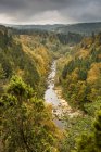 Francia, Auvernia-Ródanos-Alpes, Alto Loira, vista del río Lignon en otoño - foto de stock