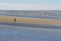 France, Saint-Brevin, estuaire de la Loire, marcheur à marée basse. — Photo de stock