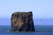 Скеля над поверхнею води, Ісландія, облачення островів. Острів елaлі. — стокове фото