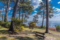 South West France, Arcachon Bay, Claouey village, tview of the Bay from the dune — стокове фото