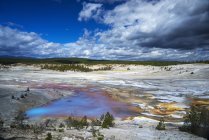 Colorida piscina, Norris Geyser Basin, Yellowstone National Park, Wyoming, Estados Unidos de América, América del Norte - foto de stock