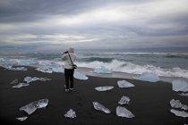 Islande, morceaux de glace sur le rivage de Jokussarlon — Photo de stock