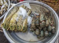 Krebstiere auf dem Straßenmarkt im chinesischen Distrikt, Myanmar, Yagon — Stockfoto