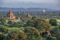 Мьянма, район Мандалай, археологический участок Баган между зелеными деревьями — стоковое фото