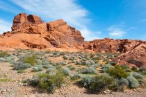USA, Nevada State, the Valley of Fire State Park — Stock Photo