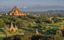Myanmar, région de Mandalay, site archéologique Bagan, temple Dhammayan Gyi entre les arbres verts — Photo de stock