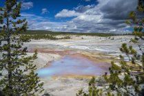 Colorida piscina, Norris Geyser Basin, Yellowstone National Park, Wyoming, Estados Unidos de América, América del Norte - foto de stock