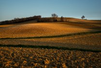 France, Occitanie, Lauragais, Haute Garonne, champs labourés — Photo de stock