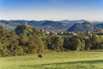 Francia, Auvernia-Ródanos-Alpes, Alto Loira, pequeña ciudad y antigua catedral en el acantilado - foto de stock