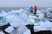 Iceland, chunks of ice on the shore of Jokussarlon — Stock Photo