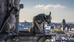 Animales fantásticos esculpidos en la torre de la Catedral de Notre-Dame, Francia, París - foto de stock