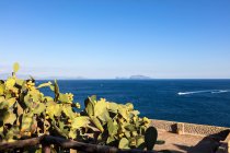 Isla Capri vista desde una terraza del castillo aragonés de Ischia, Forio, Golfo de Nápoles, región de Campania, Italia - foto de stock
