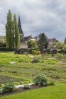 Legumes verdes que crescem no jardim em L 'Aigle, Orne, Normandia, França — Fotografia de Stock