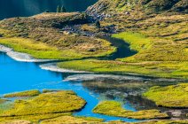 Франція, Піренеї Ariegeises Regional Nature Park, Bassies lakes, stream merider — стокове фото