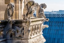 Francia, Parigi, IV arrondissement, Ile de la Cite, animali fantasiosi scolpiti su una torre della Cattedrale Notre-Dame — Foto stock