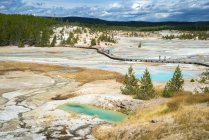 Estados Unidos, Wyoming, Yellowstone National Park, Norris Geyser Basin UNESCO World Heritage List - foto de stock
