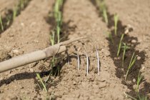 Raking ground in L'Aigle, Orne, Normandy, France — Stock Photo